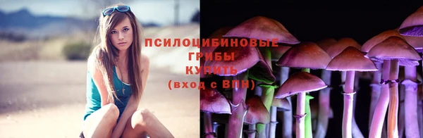 мяу мяу мука Белокуриха